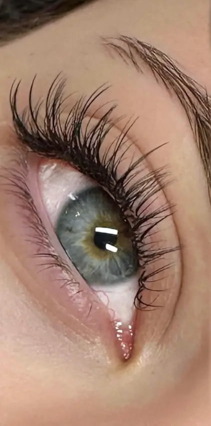 example of wispy hybrid cat eye lashes