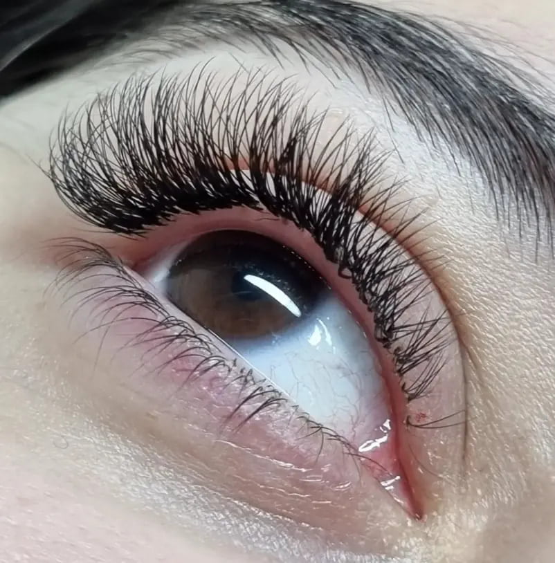 example of lashes hybrid