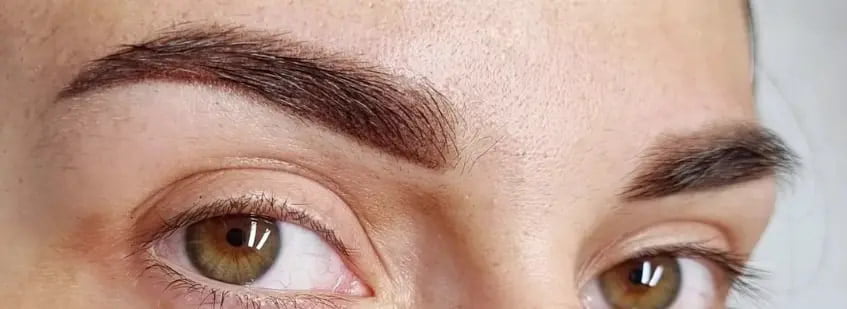 example of powder brow appointments