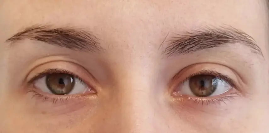 example of powder brow experts