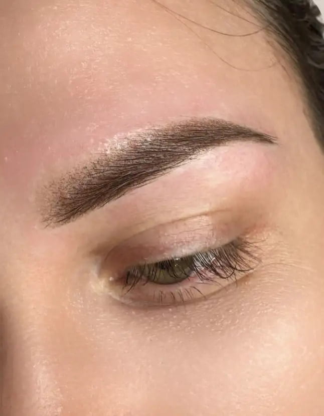example of powder brows and lashes