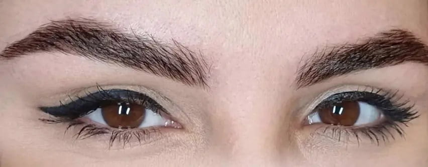example of powderbrows