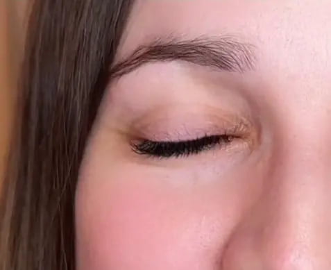 example of wispy classics leashes