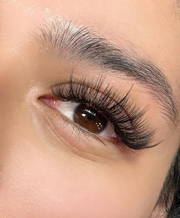 example of hybrid wispy portsmouth